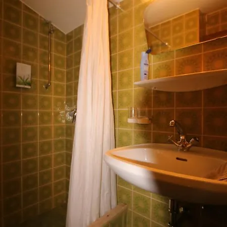 Apart-garni Alpevita Guest house Mayrhofen