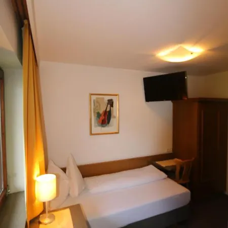 Guest house Apart-garni Alpevita 3*