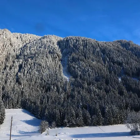 Apart-garni Alpevita 3* マイヤーホーフェン