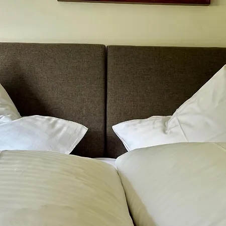 Apart-garni Alpevita Guest house