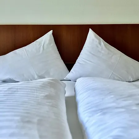 Apart-garni Alpevita 3*