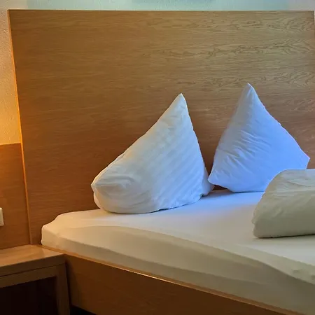 Guest house Apart-garni Alpevita