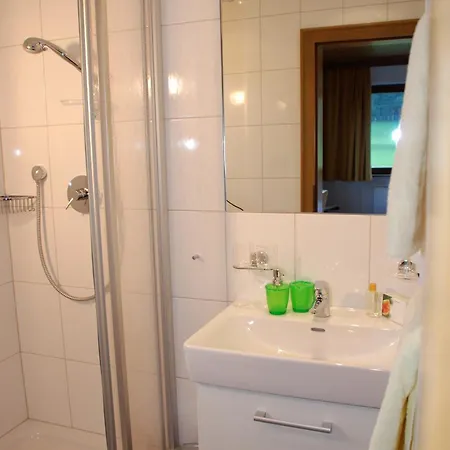 Apart-garni Alpevita 3* Mayrhofen