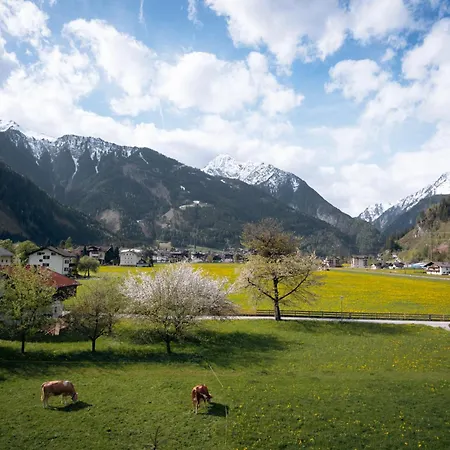 Gasthuis Apart-garni Alpevita 3*