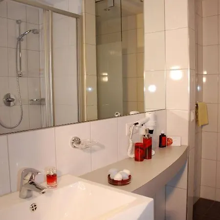 Apart-garni Alpevita Guest house 3*